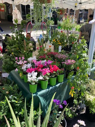 Flowers at the Claremont Farmer's Market