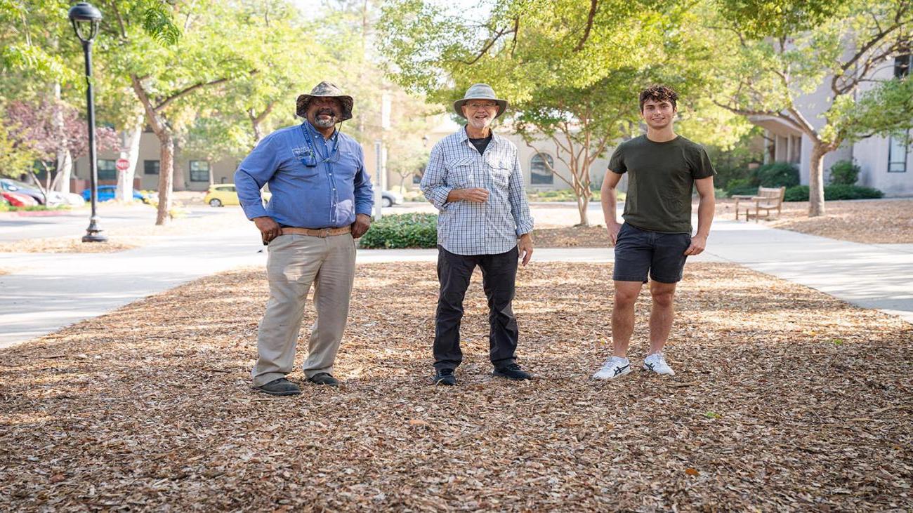 Jacob Green, Char Miller and Ron Nemo stand on campus area converted to drought-friendly landscape